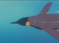 Кадр Сакура – собирательница карт