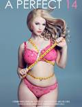 Постер из фильма "A Perfect 14" - 1