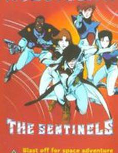 Роботех II: Стражи (видео)