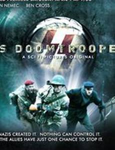 Штурмовики СС