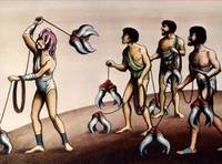 Кадр Дикая планета