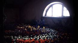 Кадр из фильма "Дом" - 1