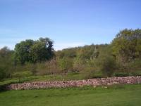 Кадр Tales from the Green Valley