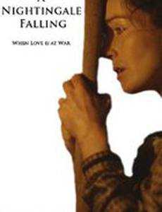 A Nightingale Falling