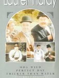 Толще, чем вода