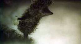 Кадр из фильма "Ежик в тумане" - 1