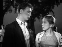 Кадр Когда деревья были большими