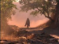 Кадр Кама Сутра: История любви