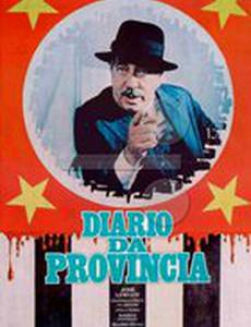 Провинциальный дневник