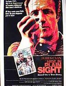 Скрой у всех на виду