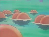 Кадр Вперед! Школьная секция пинг-понга