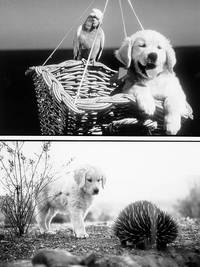 Кадр Наполеон