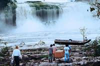 Кадр Боязнь пауков