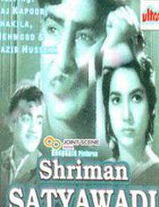 Господин правдолюбец