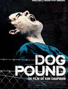 Загон для собак