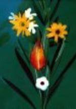 Том Хукаби фото