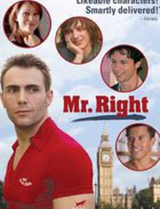 Мистер идеал