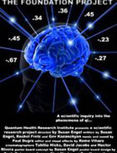 The Foundation Project