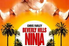 Ниндзя из Беверли Хиллз
