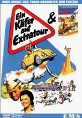 Ein Käfer auf Extratour