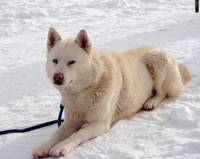 Кадр Белый плен