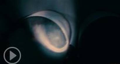 Фрагмент №3