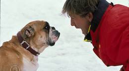 Кадр из фильма "Лыжный патруль" - 2