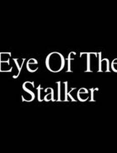 Eye of the Stalker