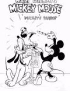 Попугай Микки