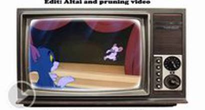 Мультфильм 