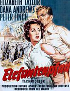 Слоновья тропа