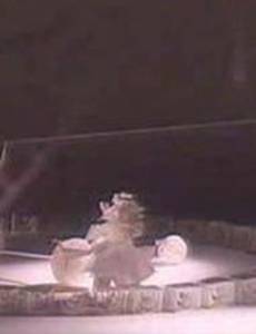 Белая арена