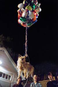 Кадр Проект Х: Ночь без родителей