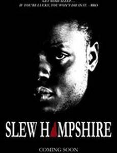 Slew Hampshire
