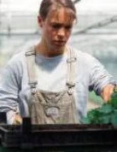 Надежда умирает последней