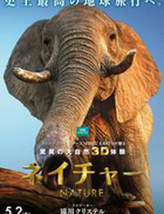 Заколдованное королевство 3D