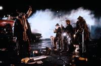 Кадр Король-рыбак