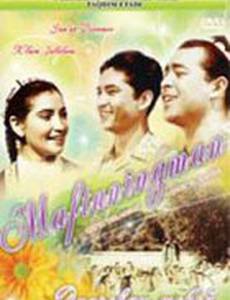 Очарован тобой