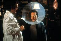 Кадр Животное