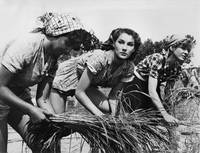 Кадр Горький рис