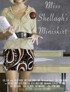 Miss Shellagh's Miniskirt