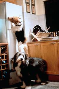 Кадр Эркюль и Шерлок против мафии