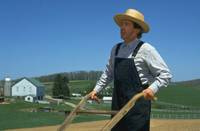 Кадр И в бедности, и в богатстве