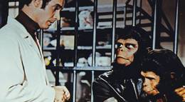 Кадр из фильма "Бегство с планеты обезьян" - 2