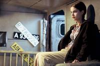 Кадр Медвежий поцелуй