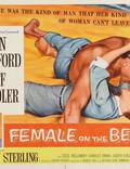 Постер из фильма "Женщина на пляже" - 1