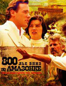 800 лье вниз по Амазонке