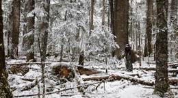 Кадр из фильма "Любовь на высоте" - 2