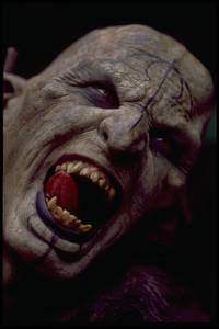 Кадр Властелин колец: Братство кольца