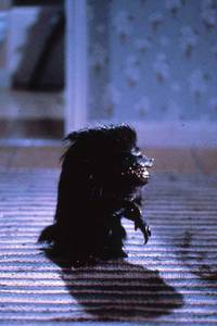 Кадр Зубастики